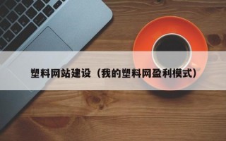 揭阳塑料网站建设（我的塑料网盈利模式）